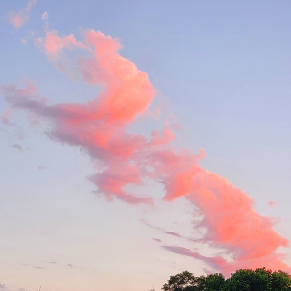 Meet your Posher, Sam - Picture 9 of 12